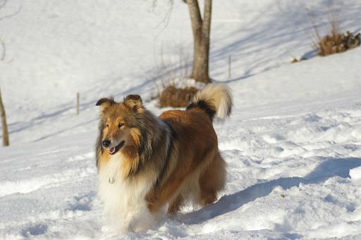 Fotos f. Homepage Galerie 042